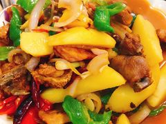 -新疆风味冷水鱼庄(友谊峰路店)