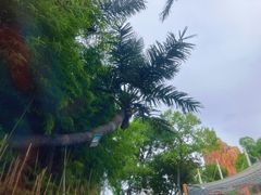 -上海玛雅海滩水公园