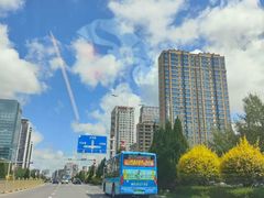 -老村长大锅炖羊肉(榆林大道店)