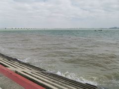 -八婆婆烧仙草(曾厝垵店)