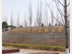 -永定河休闲森林公园