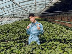 -甜心庄园·甜心草莓采摘园(西青中北店)