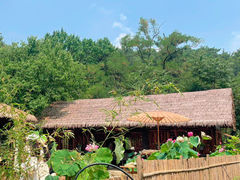 -沂蒙山旅游区云蒙景区(蒙山国家森林公园)