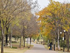 -盘龙城国家考古遗址公园