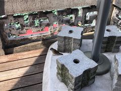 -湖畔居茶楼(湖滨店)