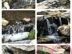 -白水寺森林公园