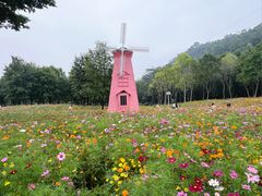 -顺峰山公园