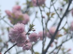 -重庆彩云湖湿地公园