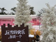 -盈香心动乐园