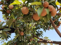 -中国移动南方基地