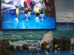 -多彩贵州城极地海洋世界