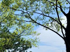 -敬亭山风景名胜区