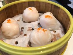 -采蝶轩