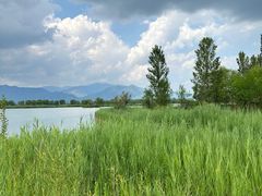 -野鸭湖国家湿地公园