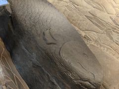 -白鹤梁水下博物馆