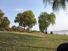 -漕湖湿地公园