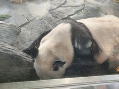 -泉州海丝野生动物世界