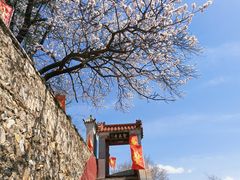 -圣莲山风景区