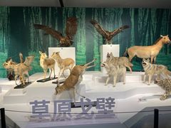 -中国湿地博物馆