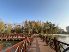 -洋湖国家湿地公园