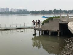-天津水上公园