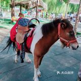 亲子动物乐园，小朋友放电欢乐无限