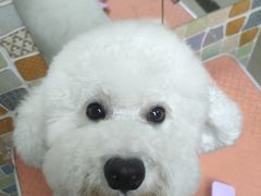 -宠颐生猫科·内科皮肤科(西平世纪城店)