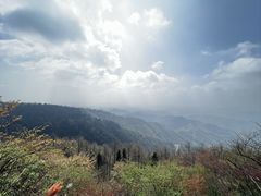 -莫干山风景区