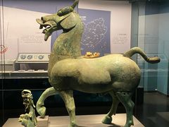 -广西壮族自治区博物馆