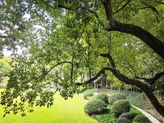 -申粤轩酒楼·三十年粤菜经典(丁香花园店)