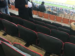 -圣西罗球场