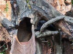 -长鹿旅游休博园