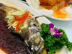 清蒸老虎斑-小贝壳酒楼(经九路店)