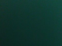 -东京包子楼(政七街店)