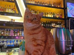 -Famous肥猫墨西哥音乐餐吧(五棵松华熙LIVE店)