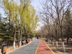 -大兴滨河森林公园