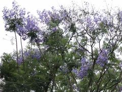 -金海湾滨江公园