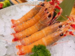 -菊上尊品料理(蚌埠银泰店)