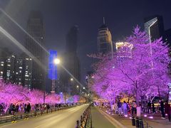 -西北湖绿化广场