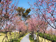-福建鲤鱼洲酒店