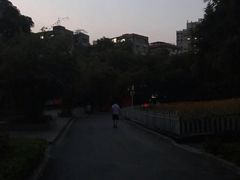 -晓港公园