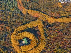 -南京中国近代史遗址博物馆(南京总统府)