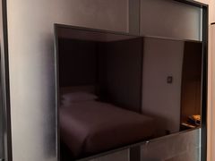 -新加坡乌节希尔顿酒店 (SG Clean)