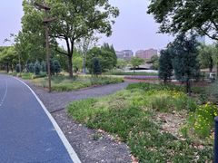 -上海交通大学(闵行校区)