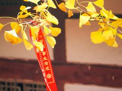 -金堂县云顶石城风景区