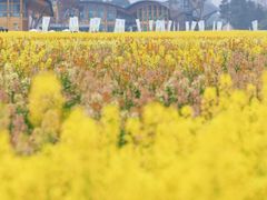 -中国天府农业博览园