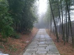 -广州市石门国家森林公园