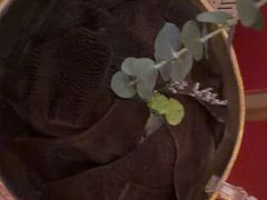 -巴奴毛肚火锅(龙湖锦艺城店)