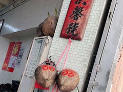 -洪馨椰子