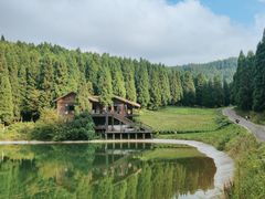 -武陵山森林公园
